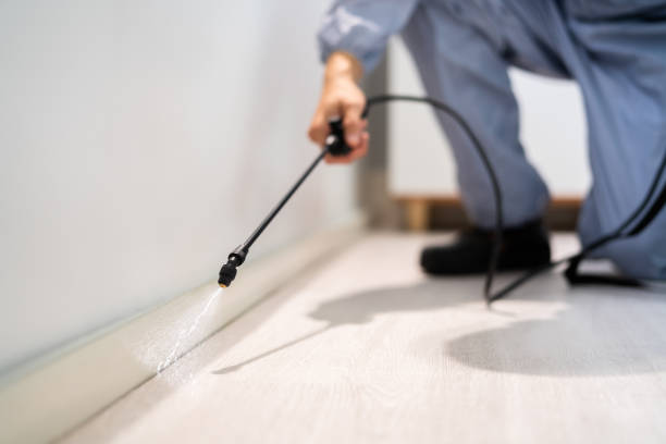 Licensed Pest Control service in Fayetteville, PA - Show Me Pest Control